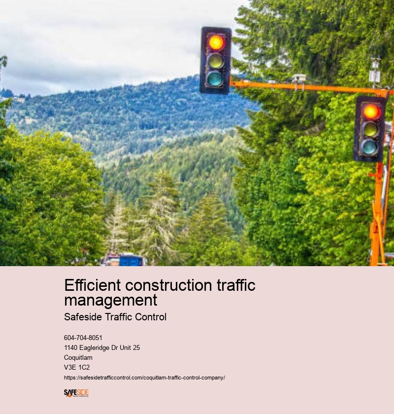 Advanced traffic planning techniques